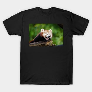 Nap Time T-Shirt